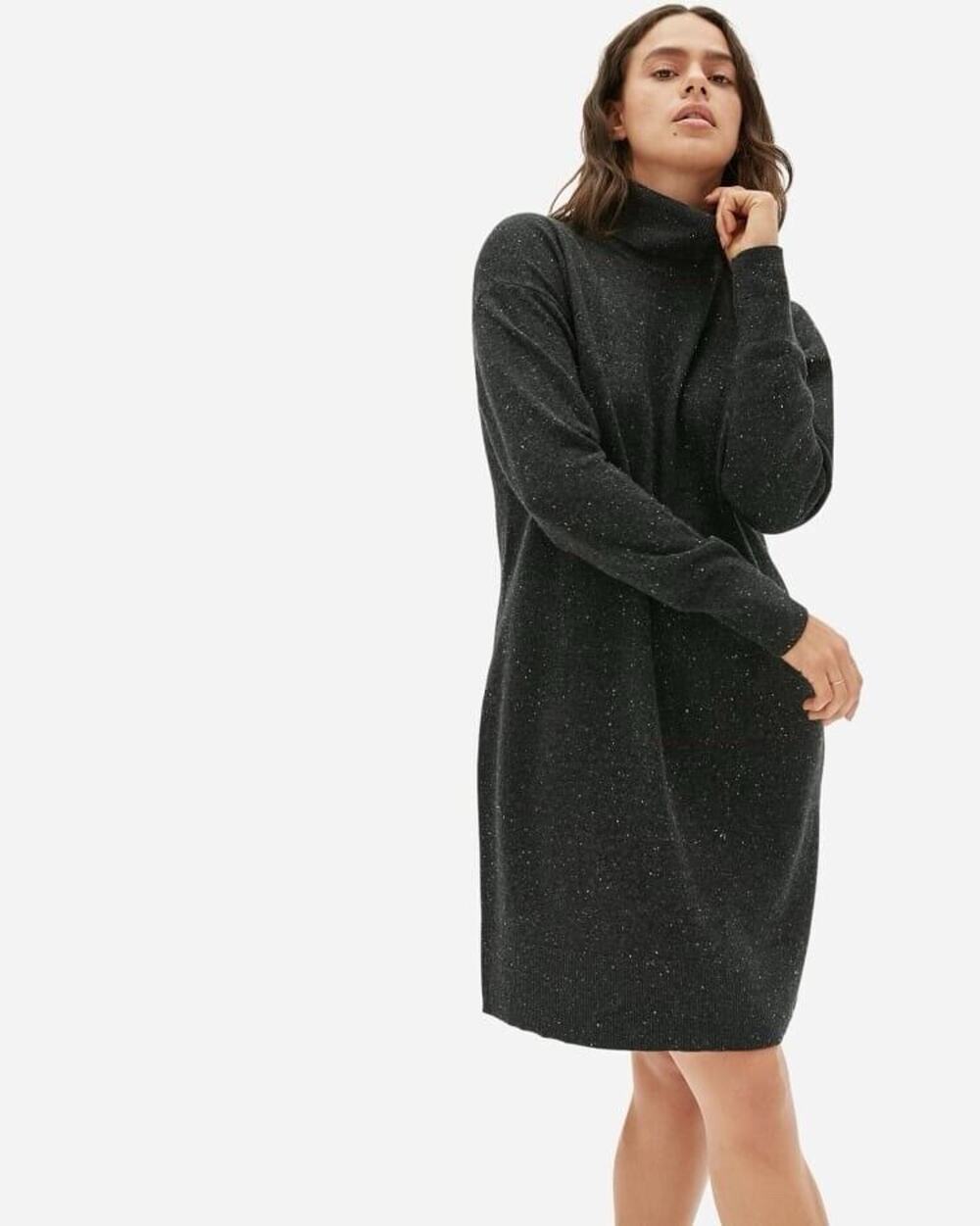 Everlane Cashmere Turtleneck Sweater Dress Modern Minimalist Capsule Knit Sz XS